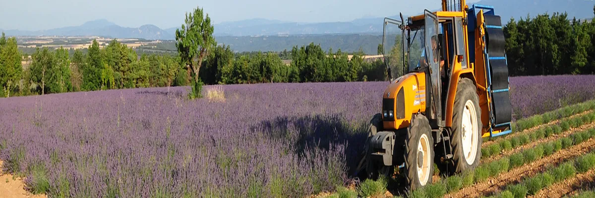 Image Architecte d'intérieur Provence-Alpes-Côte d'Azur