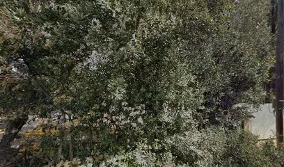 Image de CODE 5