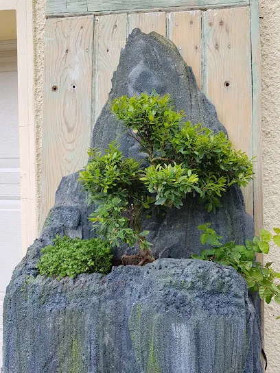 Image de Terrabulle