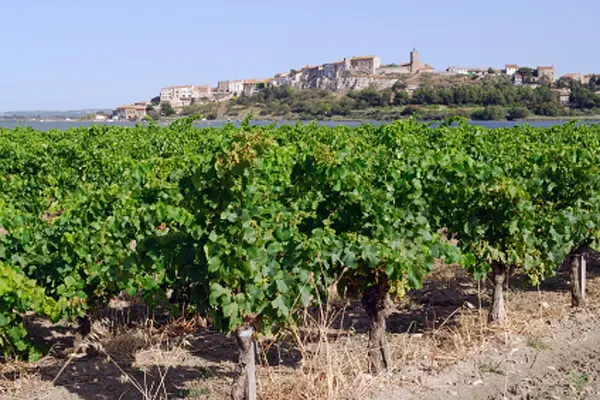 Votre Architecte Intérieur Architecte d'intérieur Bages