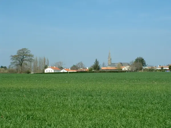 Votre Architecte Intérieur Architecte d'intérieur Chauvé