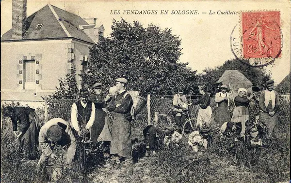 Votre Architecte Intérieur Architecte d'intérieur Cour-Cheverny