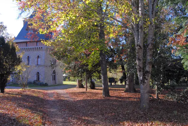 Votre Architecte Intérieur Architecte d'intérieur Isle