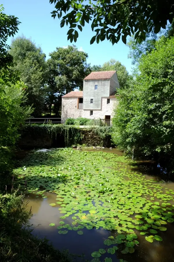 Votre Architecte Intérieur Architecte d'intérieur Nesmy
