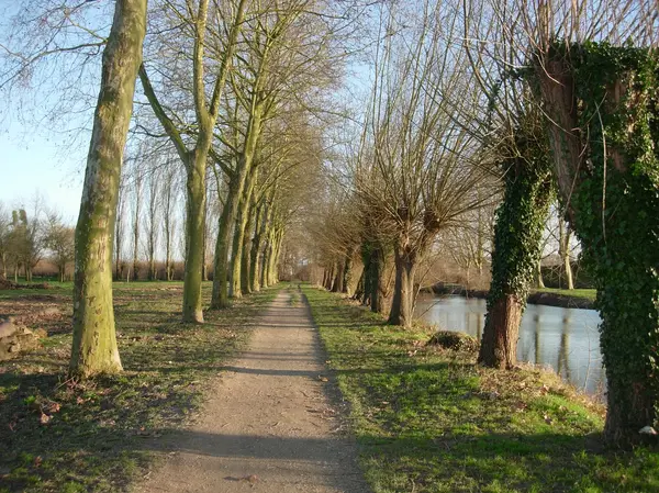 Votre Architecte Intérieur Architecte d'intérieur Romilly-sur-Seine