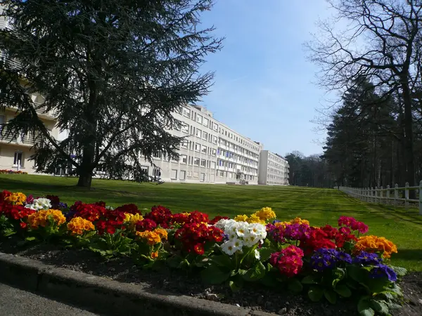 Votre Architecte Intérieur Architecte d'intérieur Saint-Sébastien-de-Morsent